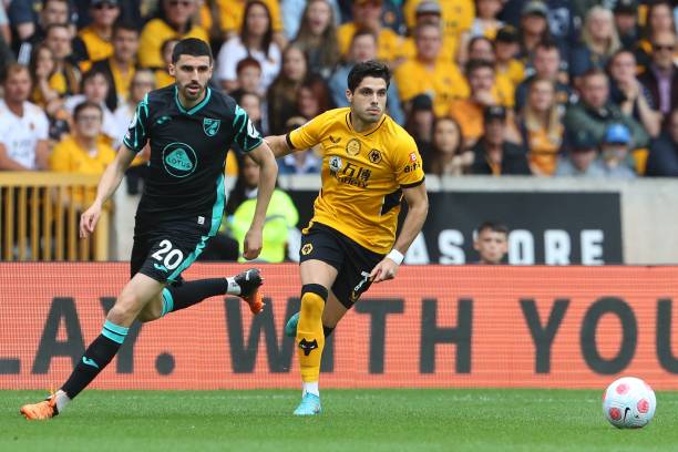 都难以撼动 都难以撼动