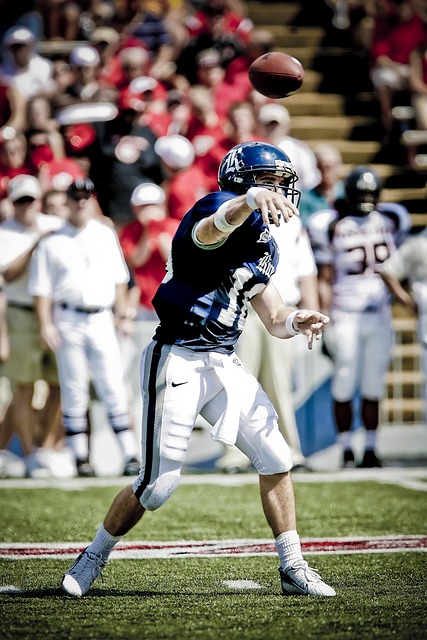 依靠严谨调 依靠严谨调