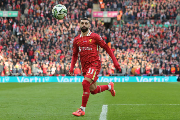 一直是众多 一直是众多